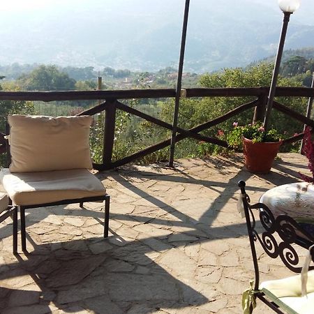 Locanda Verde Vaiano  Esterno foto
